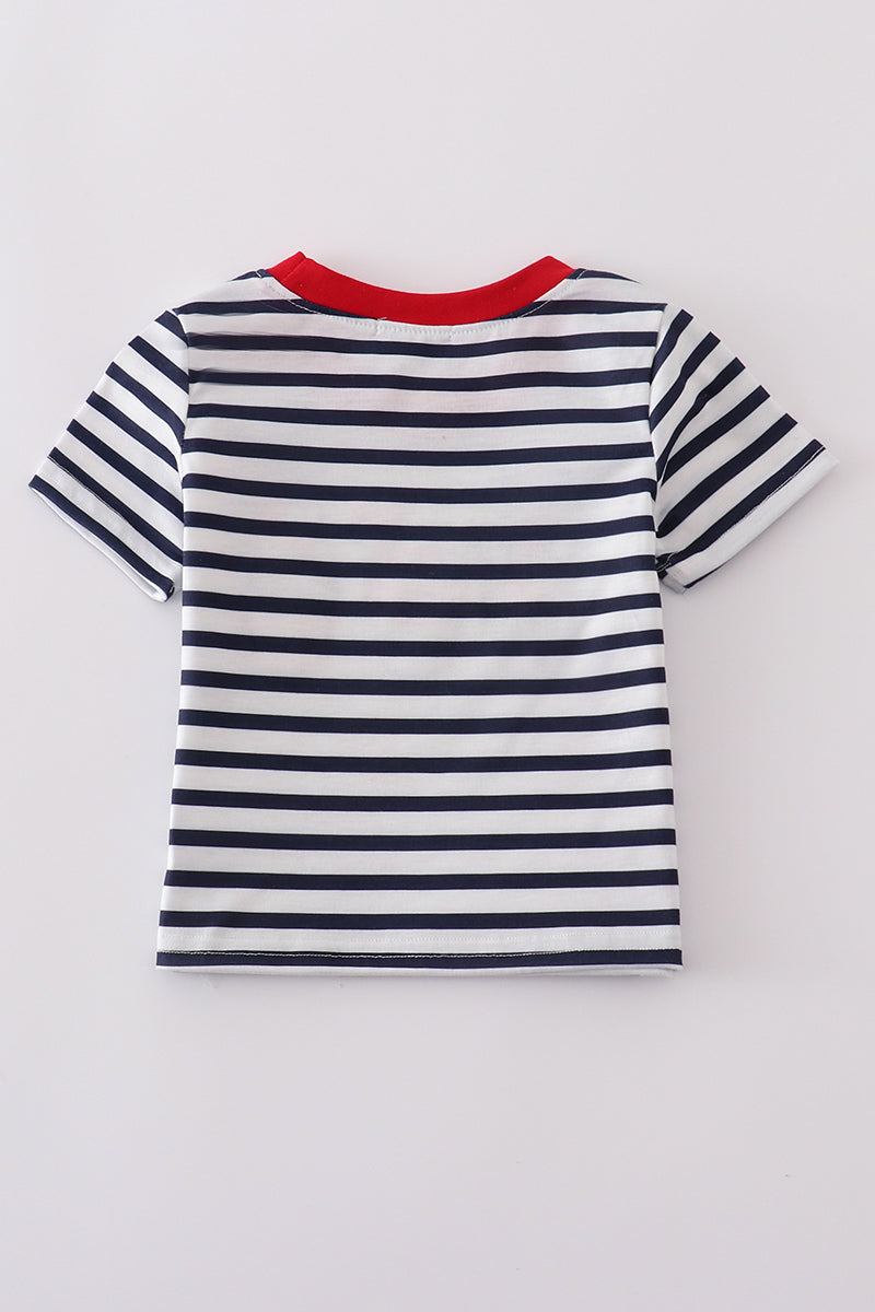 Blue stripe cake embroidery top